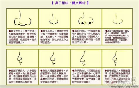 三角形鼻孔面相|十六种鼻子面相图文分析三六风水网